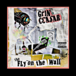 The Fly On The Wall cover art
